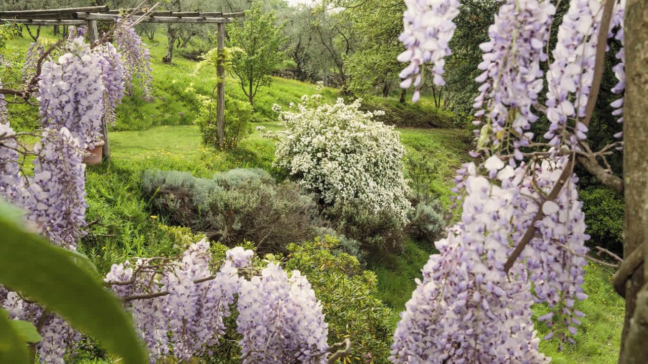 Photo of Outdoor in Settignano