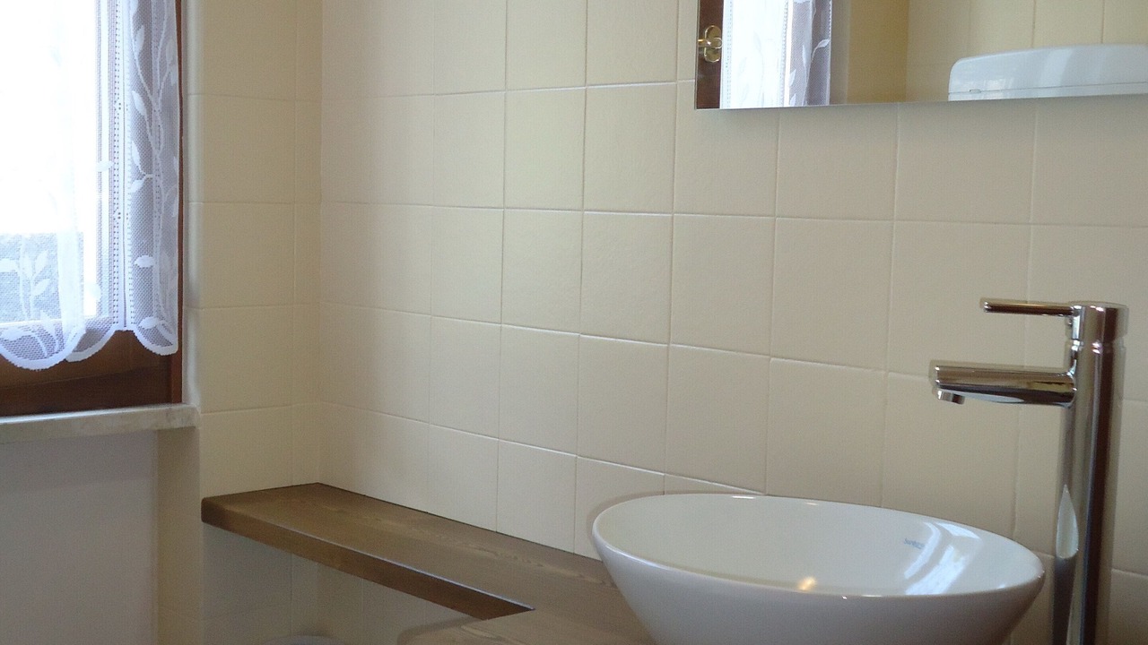 Photo of Bathroom in Idro