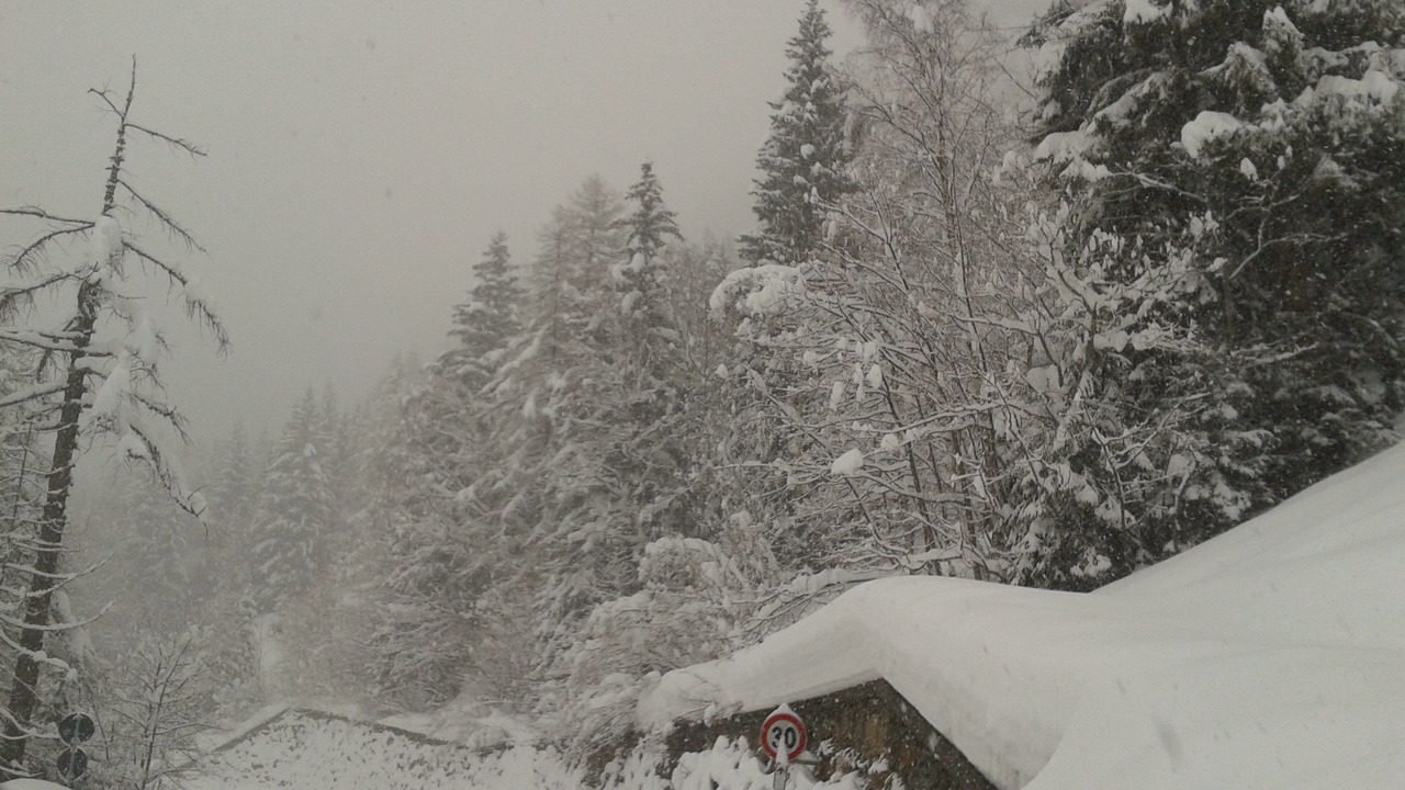 Photo of Others in La Thuile