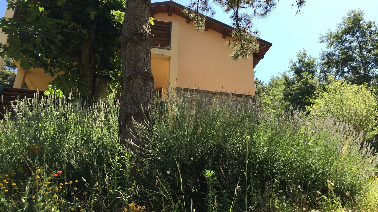 Photo of Outdoor in Perticara