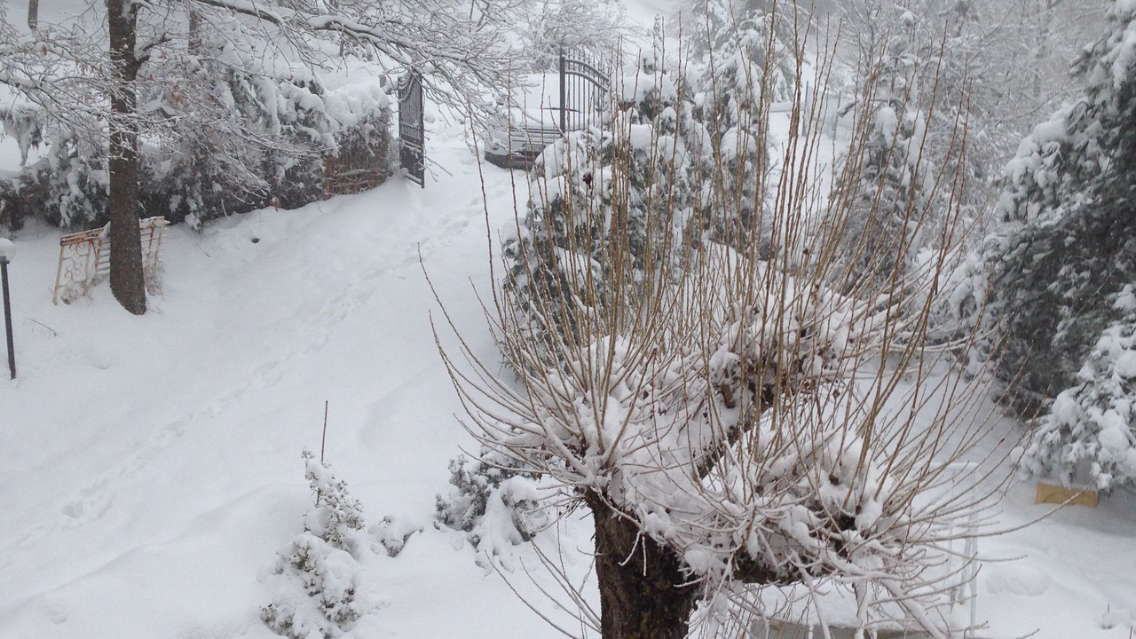 Photo of Outdoor in Perticara