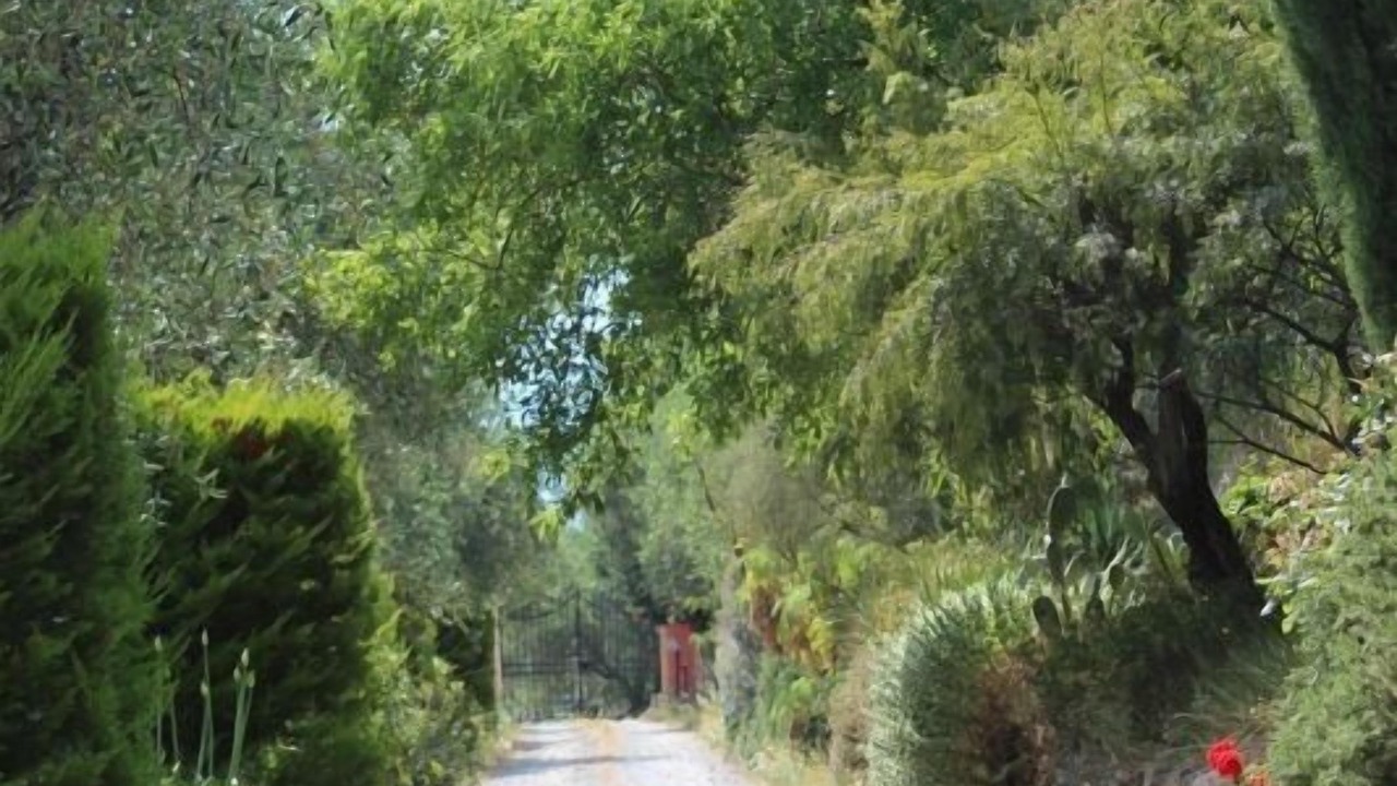 Photo of Outdoor in Imperia