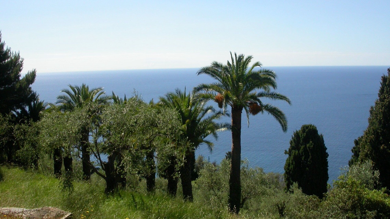 Photo of Others in Imperia
