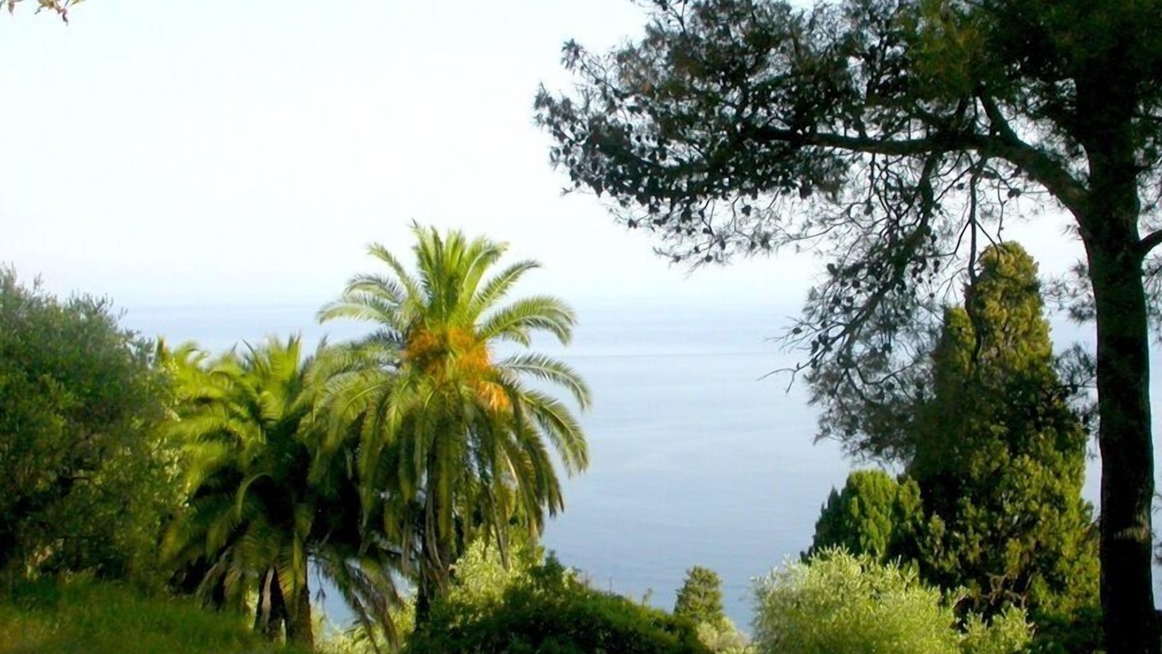 Photo of Outdoor in Imperia