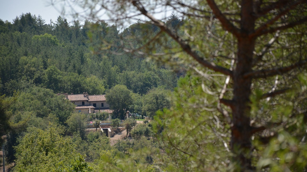 Photo of Outdoor in Castellina in Chianti