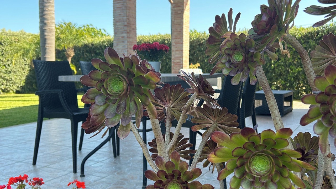 Photo of Outdoor in Avola