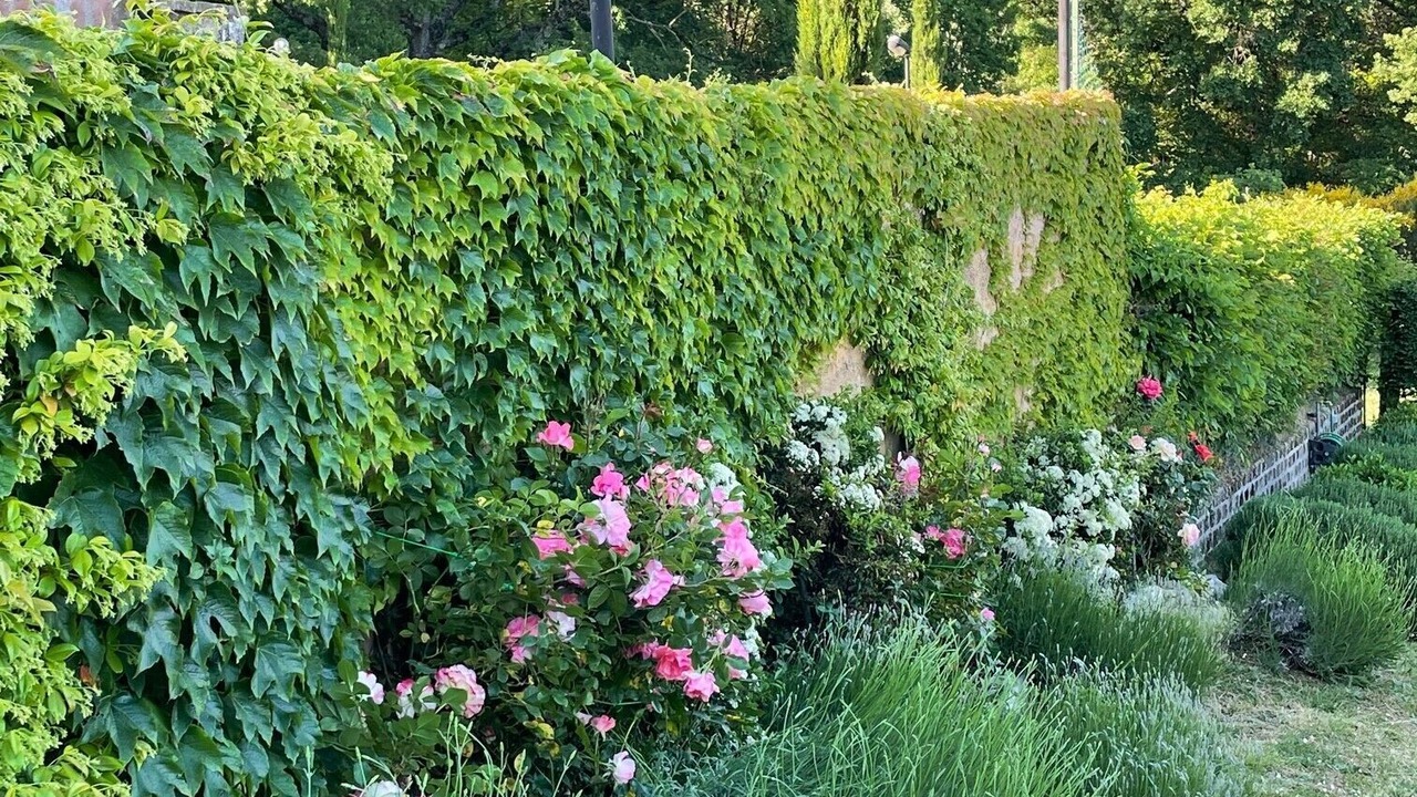 Photo of Outdoor in Bivio Lugnano