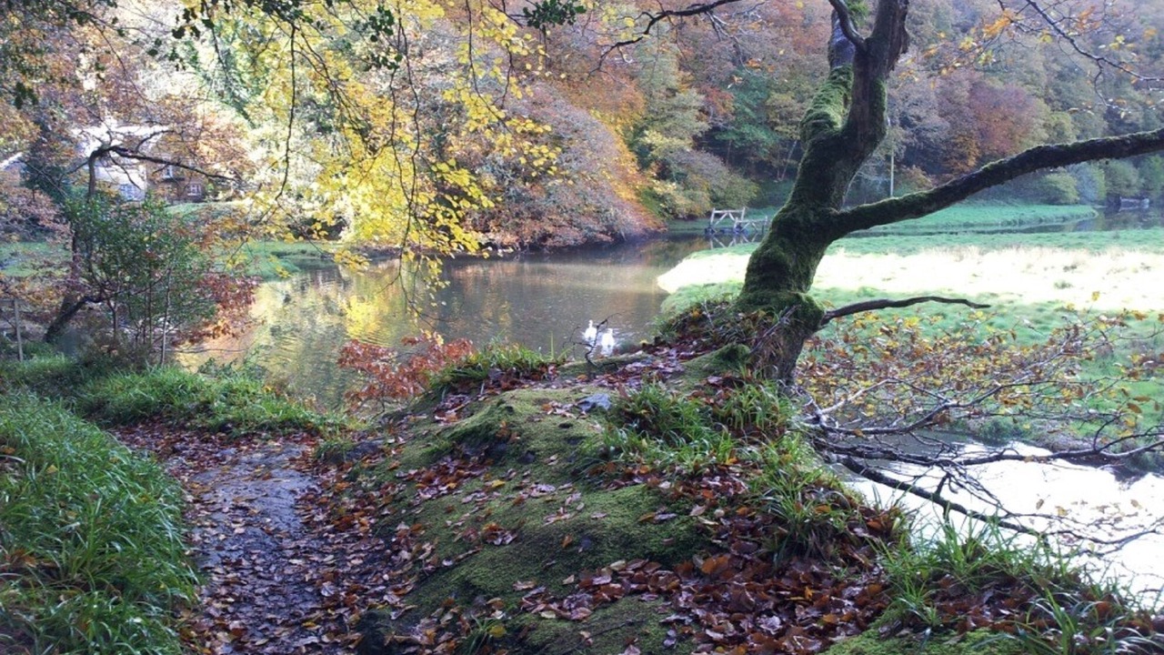 Photo of Outdoor in Looe
