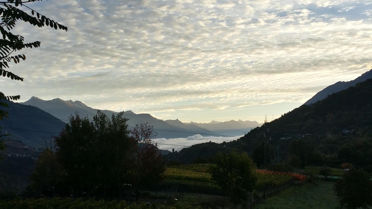 Photo of Outdoor in Introd