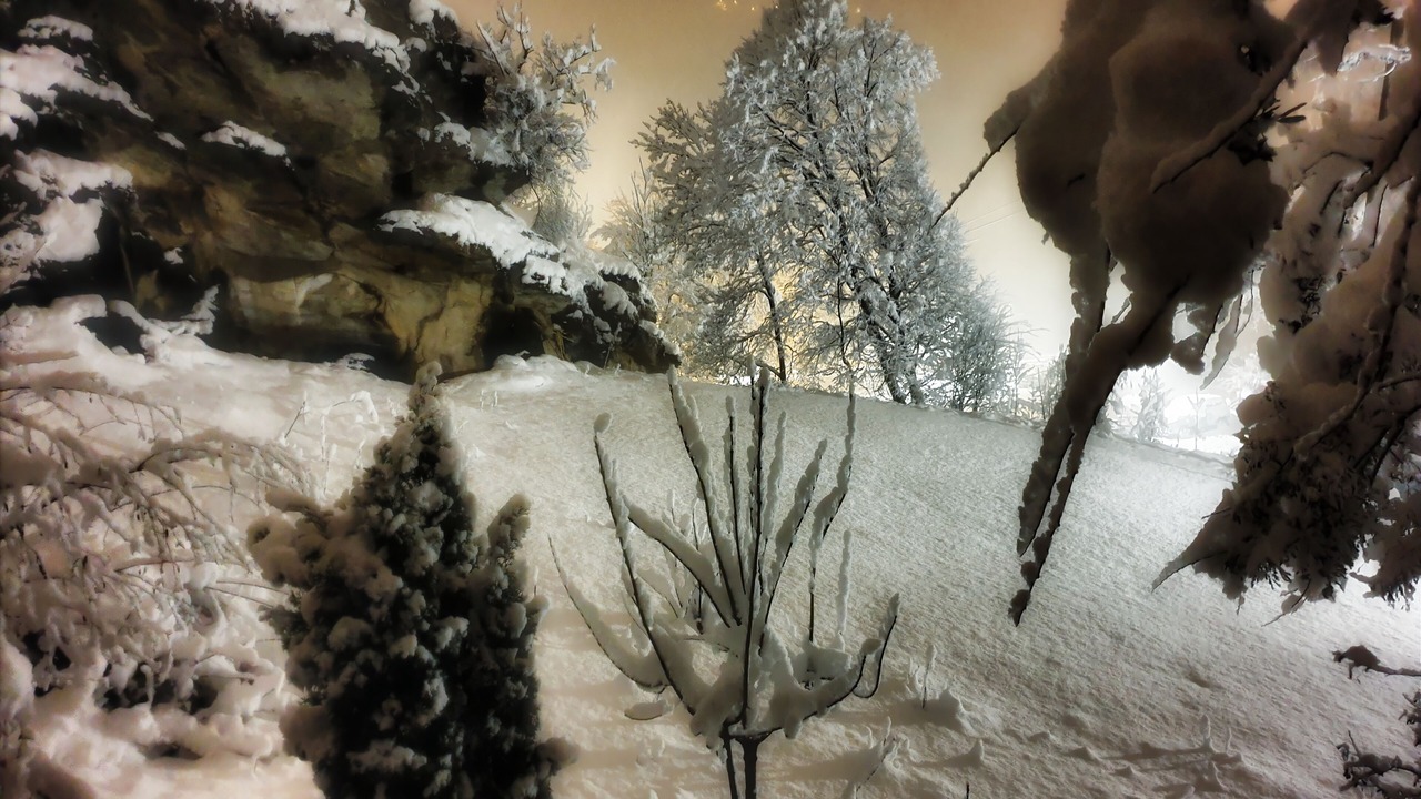 Photo of Outdoor in Introd