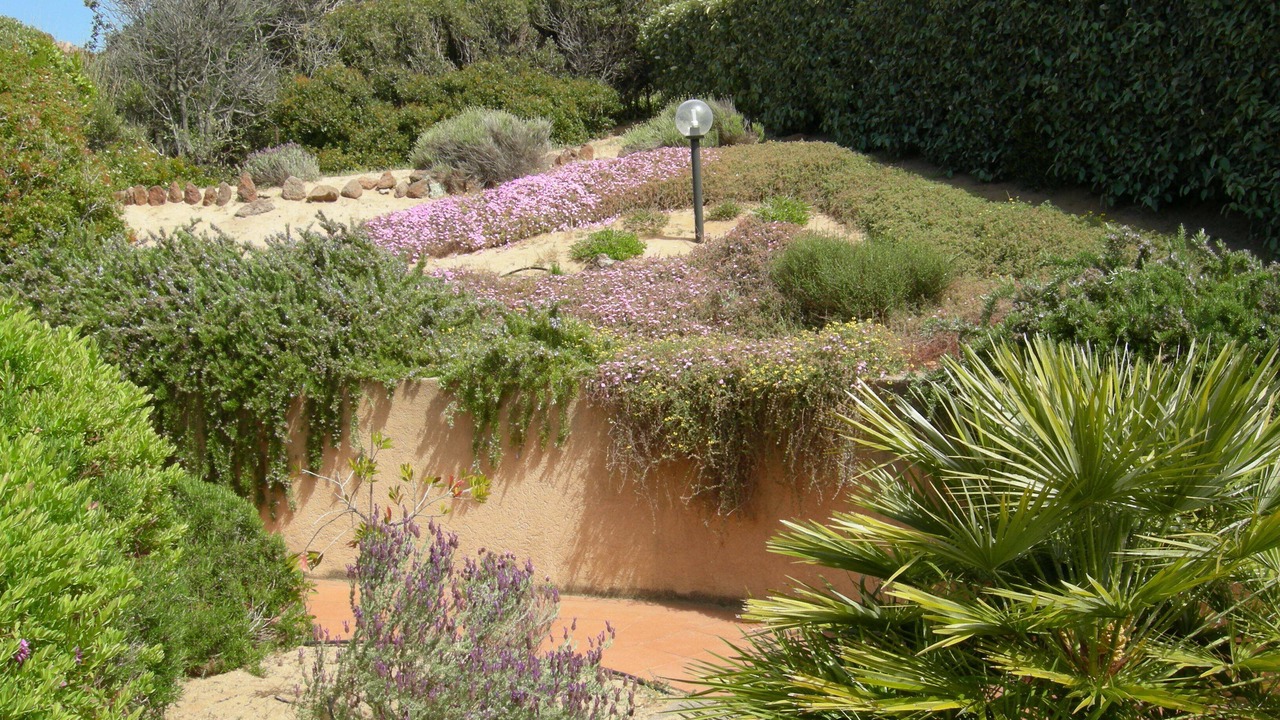 Photo of Outdoor in Costa Paradiso