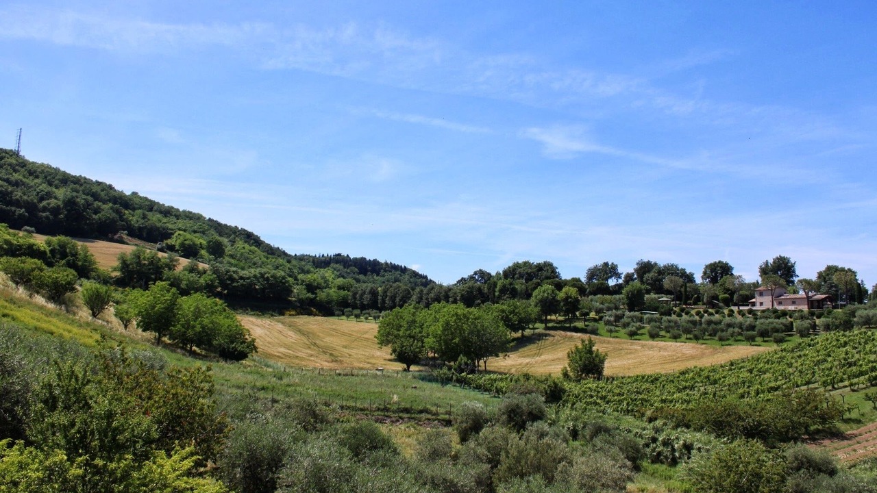Photo of Outdoor in Fano