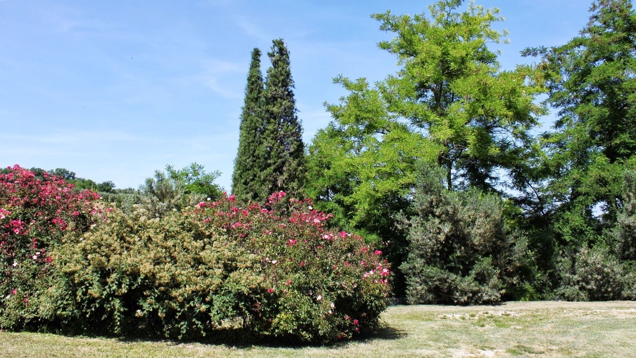 Photo of Outdoor in Fano