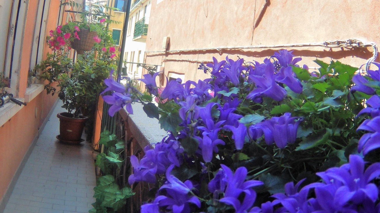 Photo of Outdoor in Dorsoduro