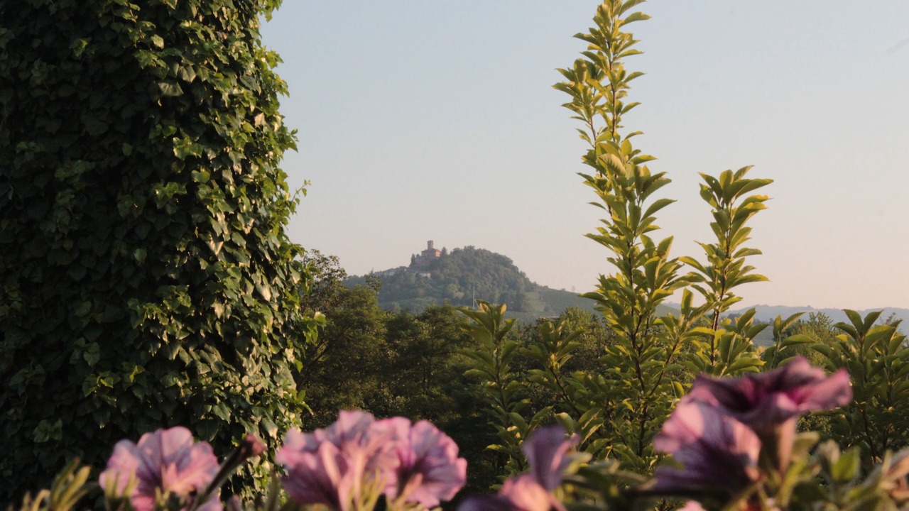 Photo of Outdoor in Nizza Monferrato