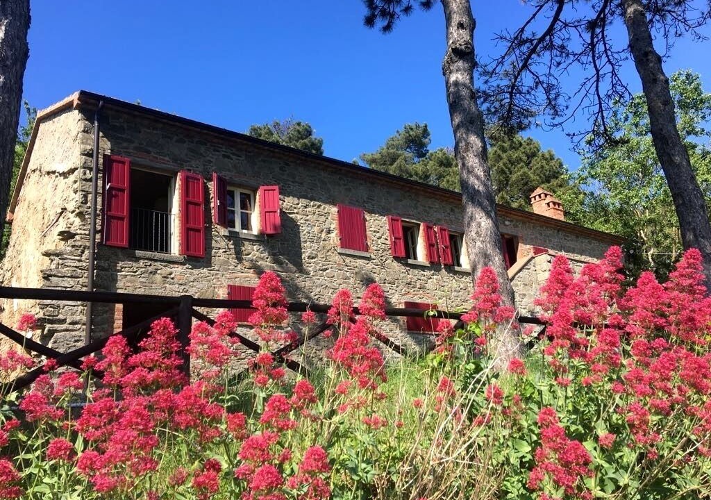 Photo of Outdoor in Cortona