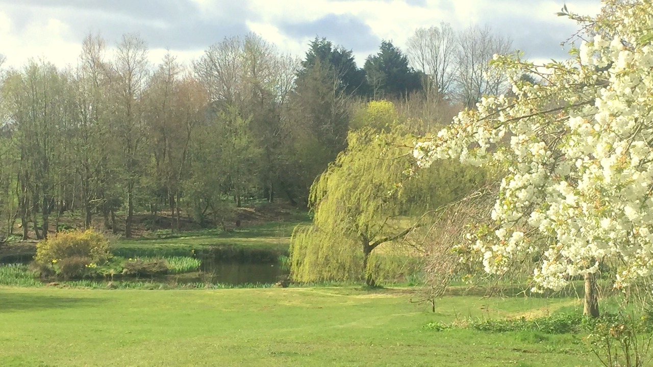 Photo of Outdoor in Randalstown