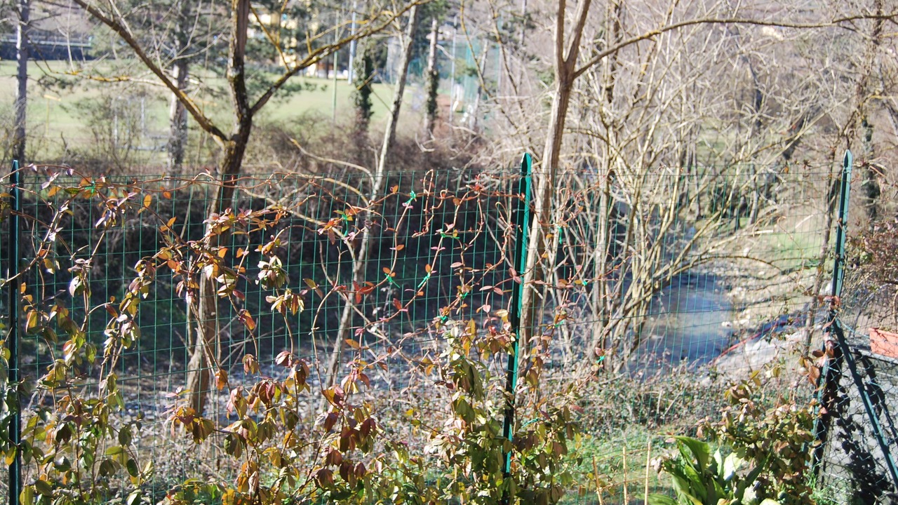 Photo of Outdoor in Greve in Chianti