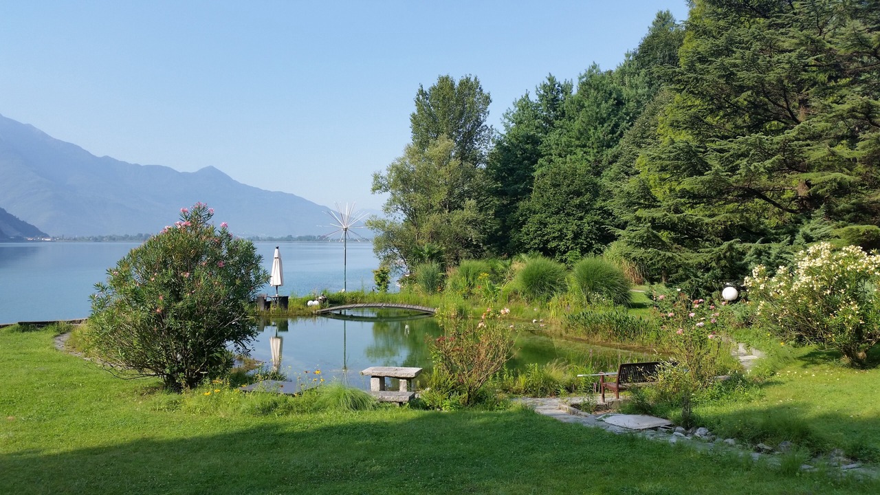 Photo of Outdoor in Campo