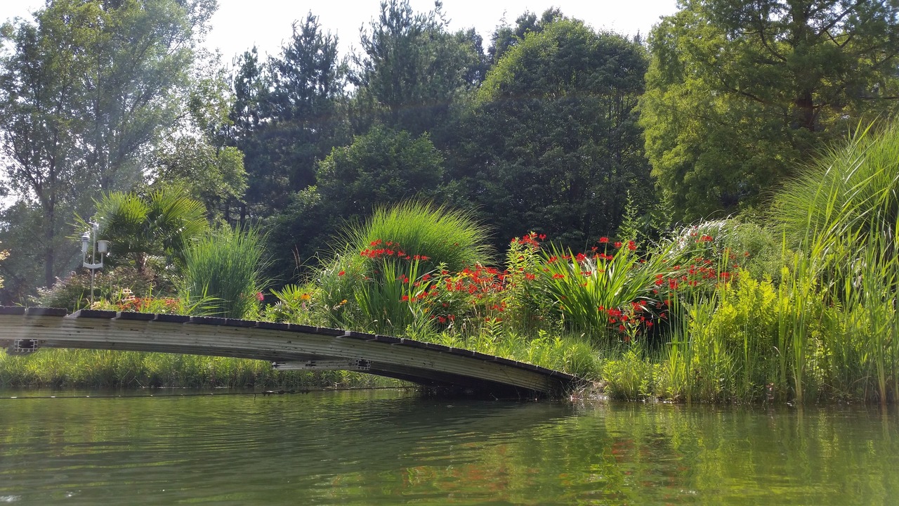 Photo of Outdoor in Campo