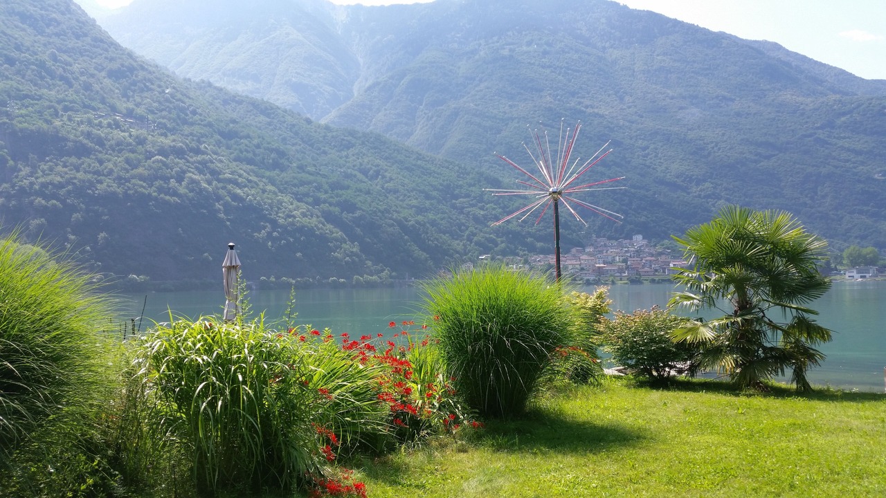 Photo of Outdoor in Campo