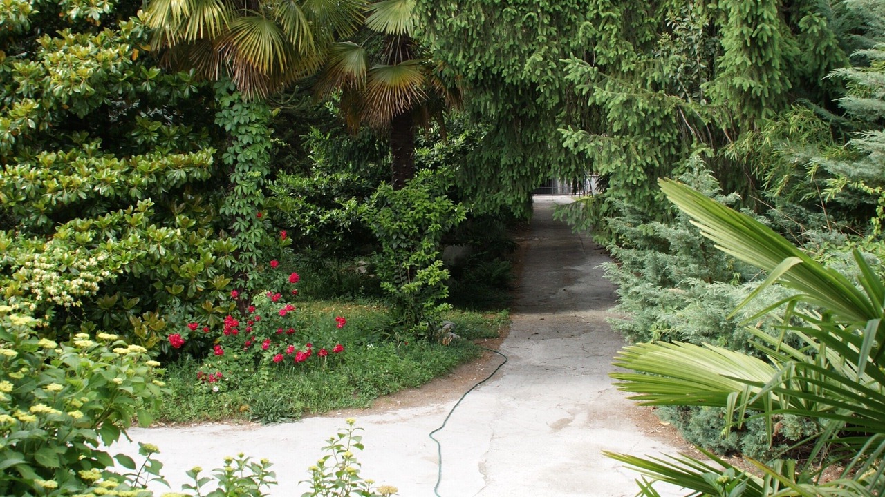 Photo of Outdoor in Campo
