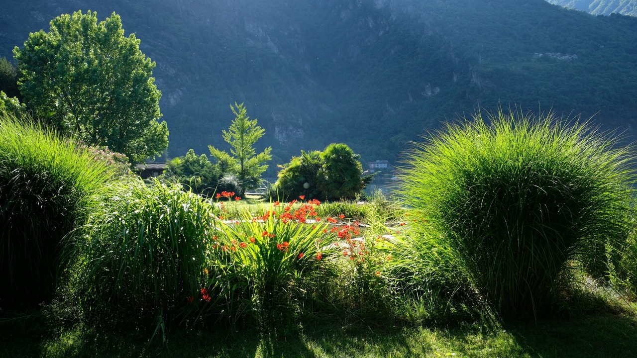 Photo of Outdoor in Campo