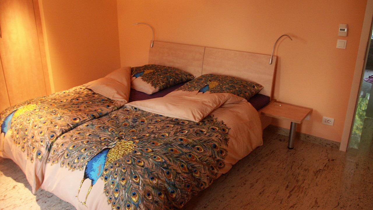 Photo of Bedroom in Campo