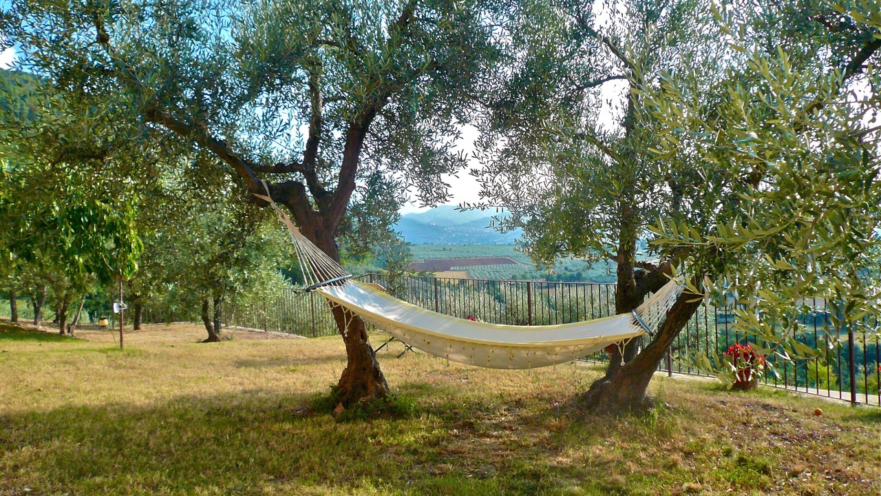Photo of Outdoor in Poreta