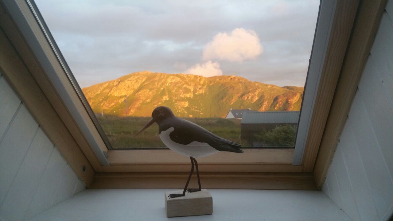 Photo of Others in Isle of Colonsay