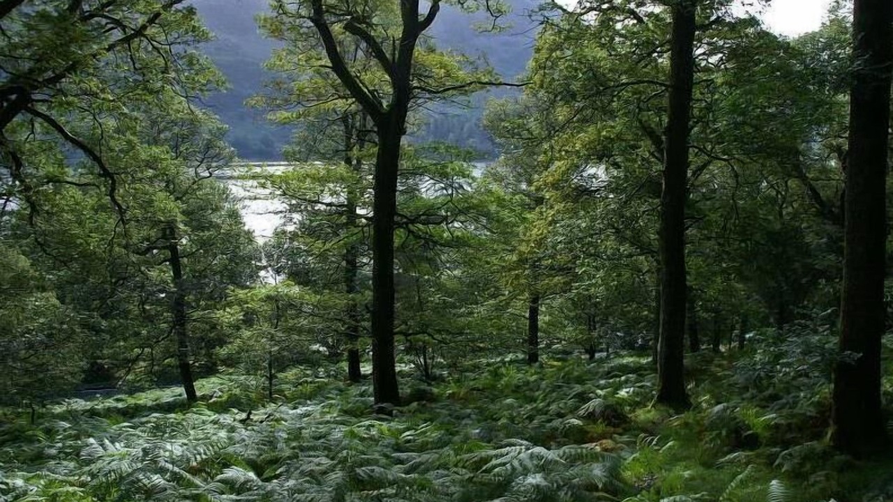 Photo of Outdoor in Penrith