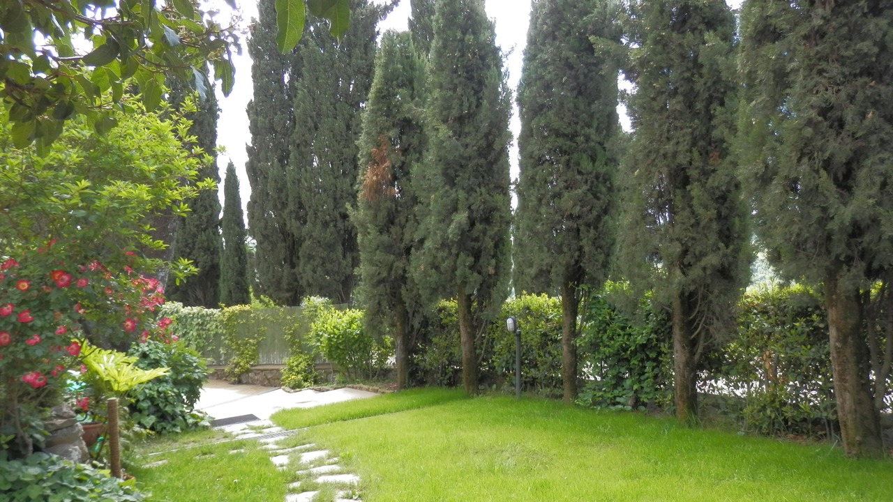 Photo of Outdoor in Starda