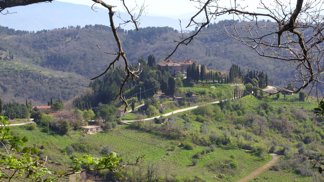 Photo of Outdoor in Starda