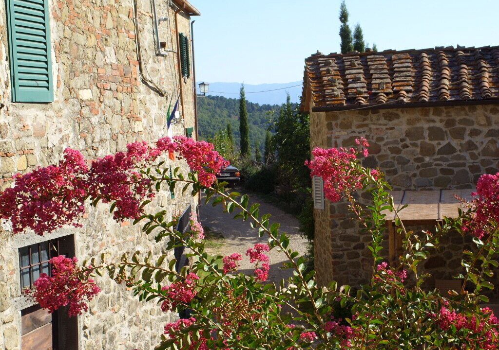 Photo of Outdoor in Starda