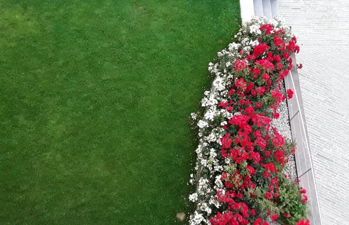 Photo of Outdoor in Savigliano