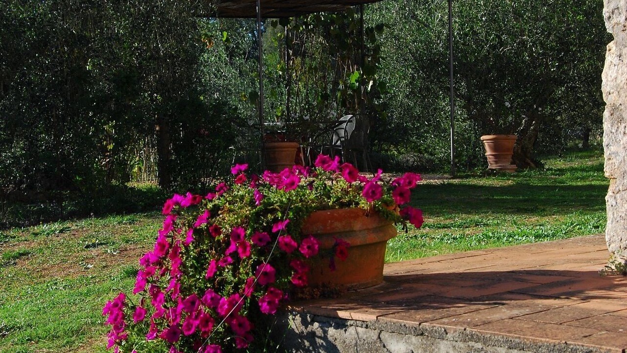 Photo of Outdoor in Simignano