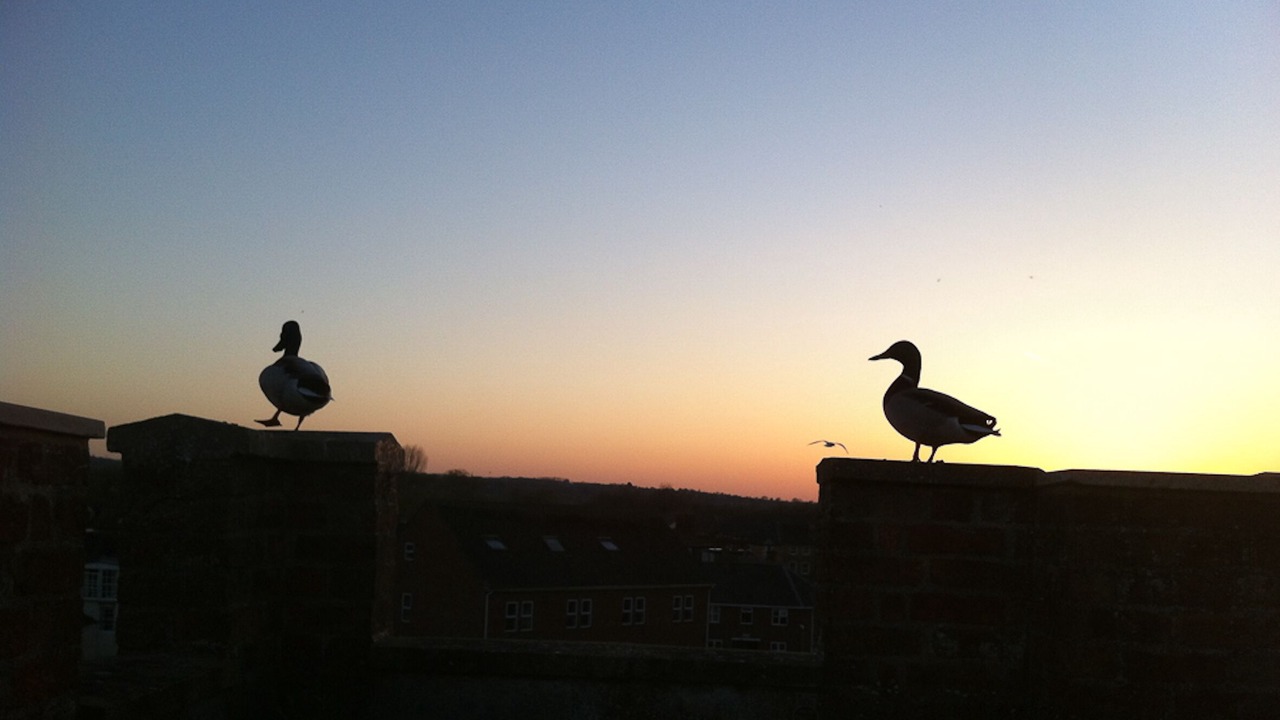 Photo of Others in Oxford City Centre