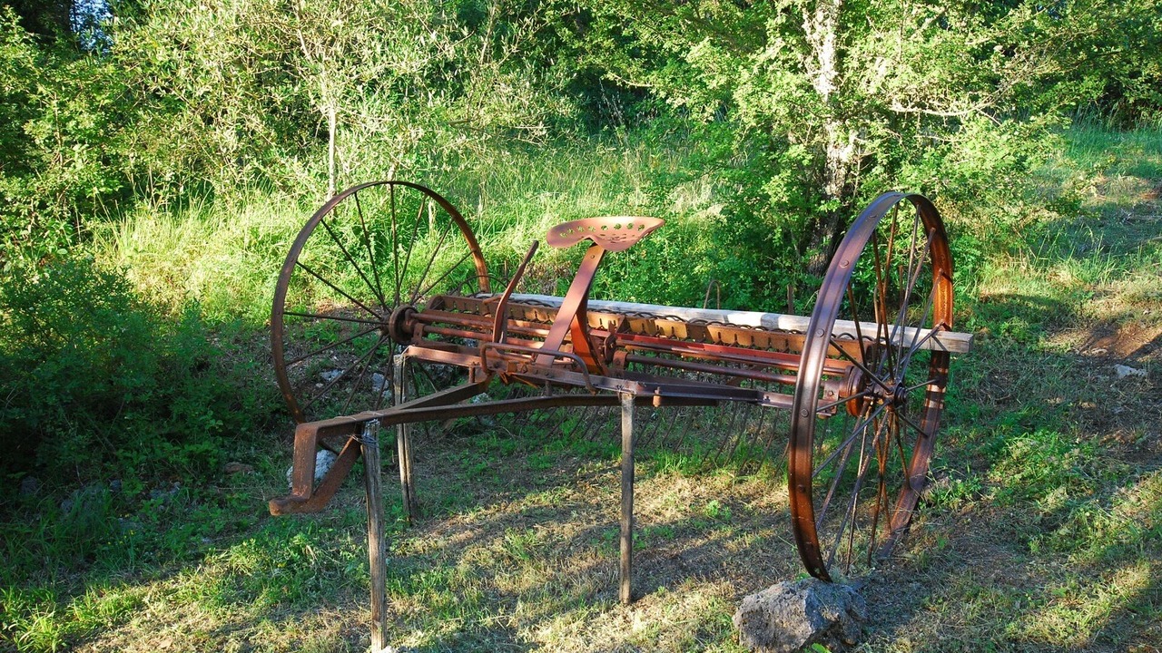 Photo of Outdoor in Simignano