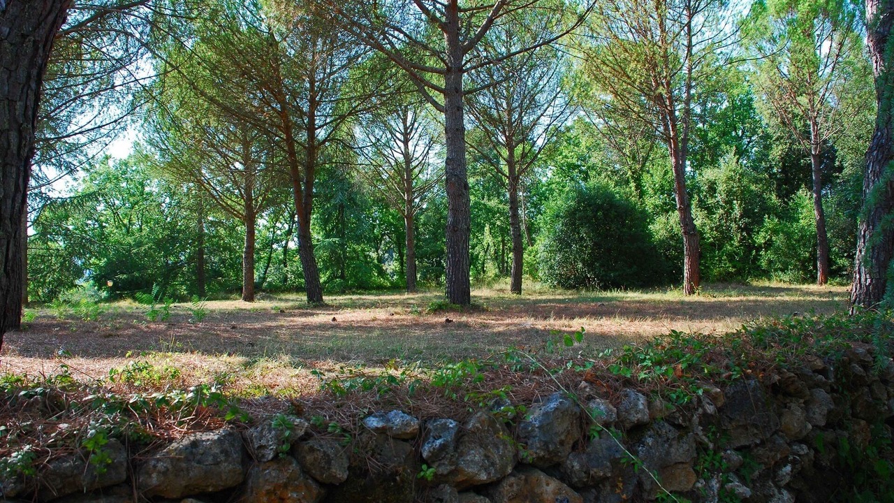 Photo of Outdoor in Simignano