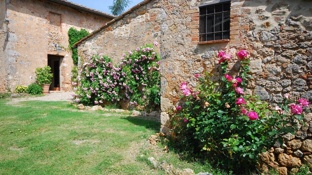 Photo of Outdoor in Simignano