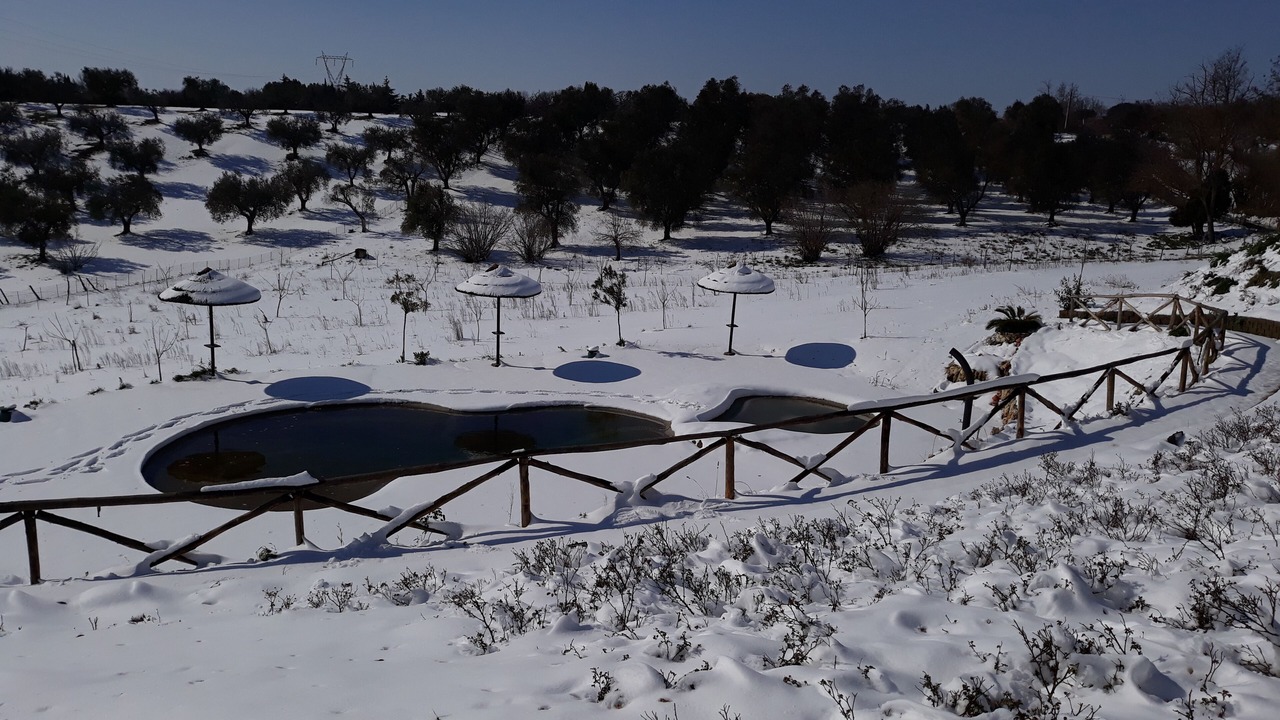 Photo of Outdoor in Formello