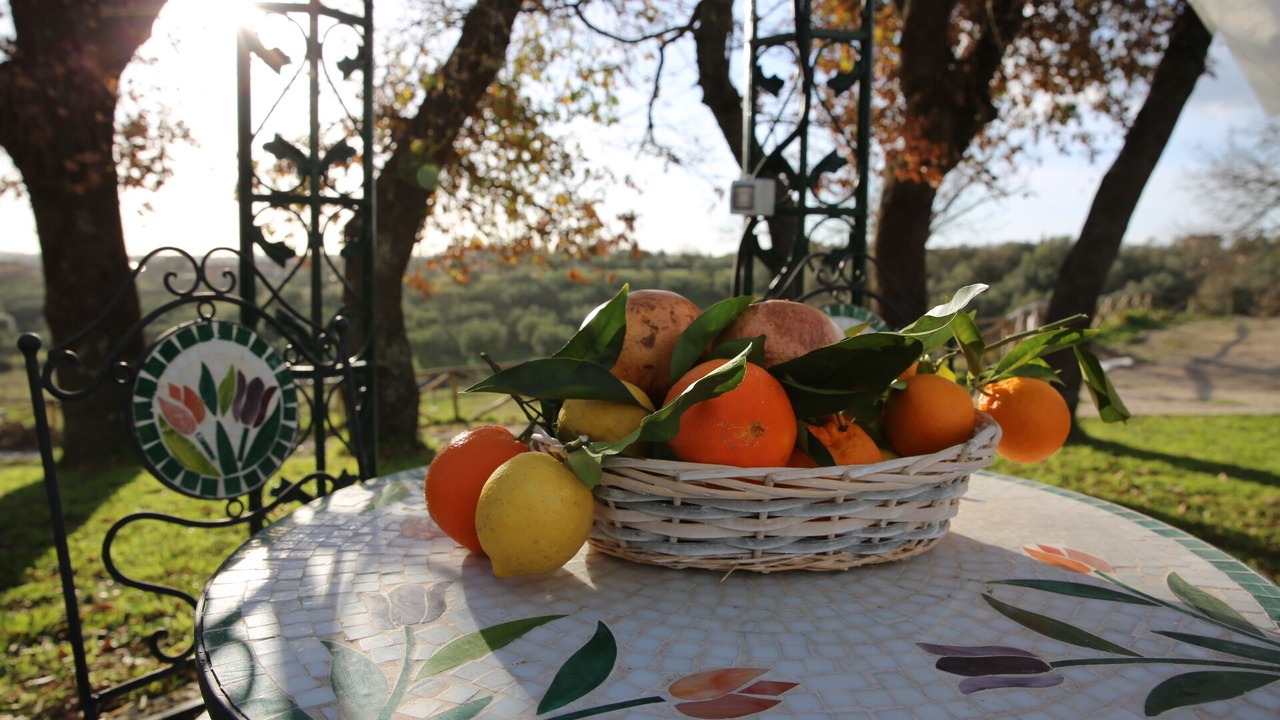 Photo of Outdoor in Formello