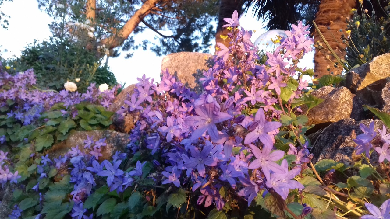 Photo of Outdoor in Polverigi