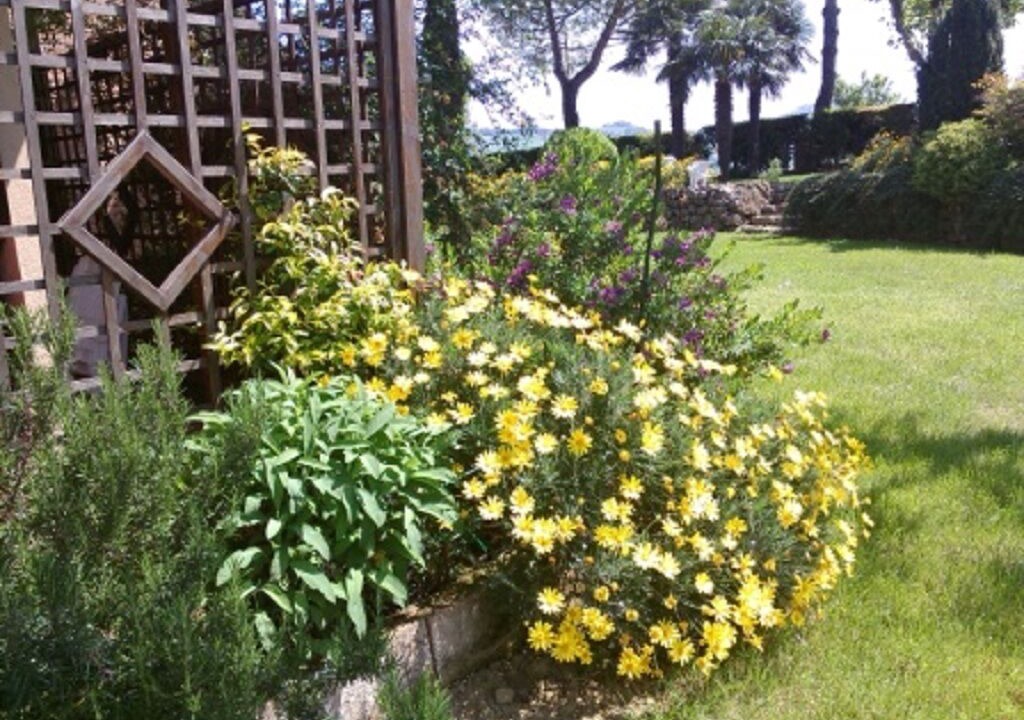 Photo of Outdoor in Polverigi