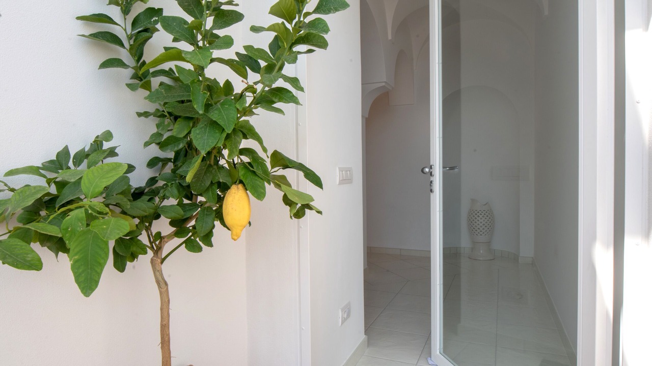 Photo of Outdoor in Pogerola
