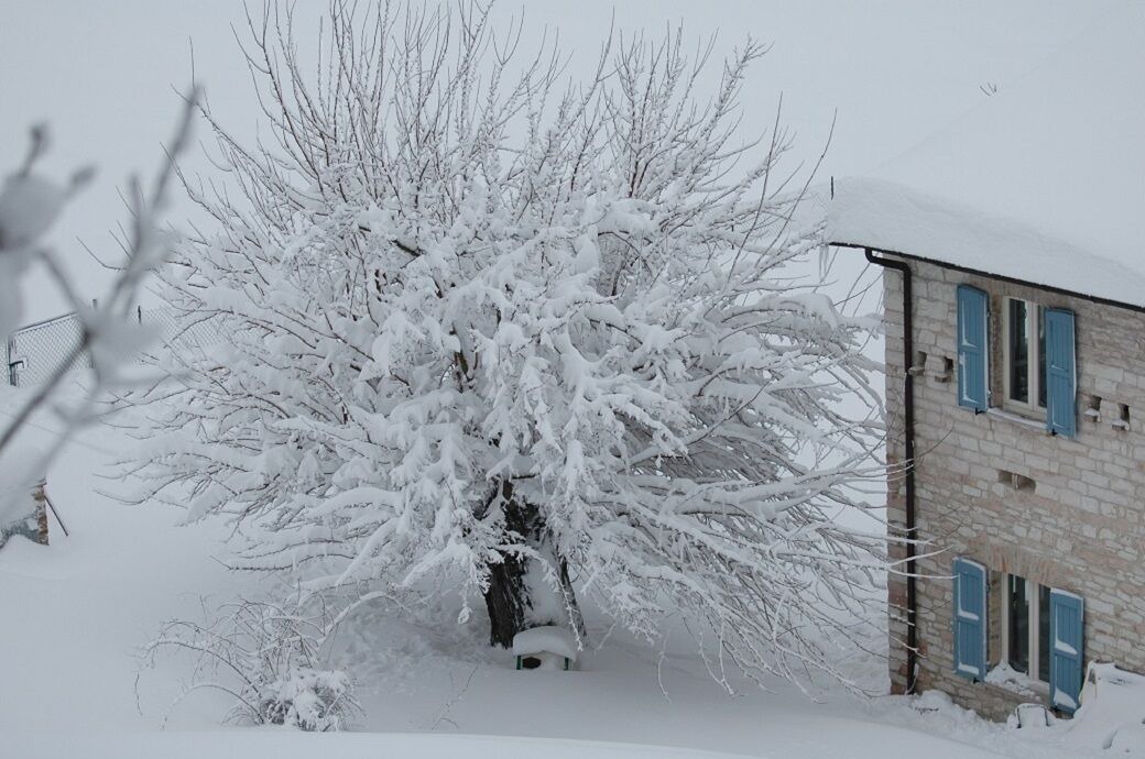 Photo of Outdoor in Fossombrone