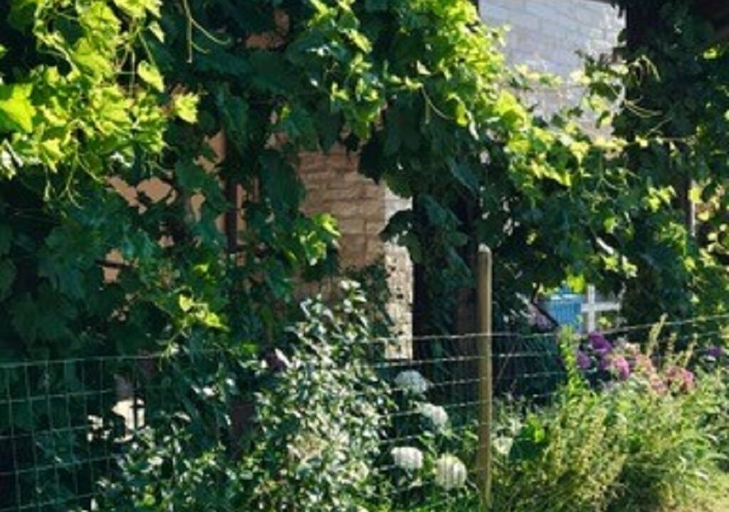 Photo of Outdoor in Fossombrone