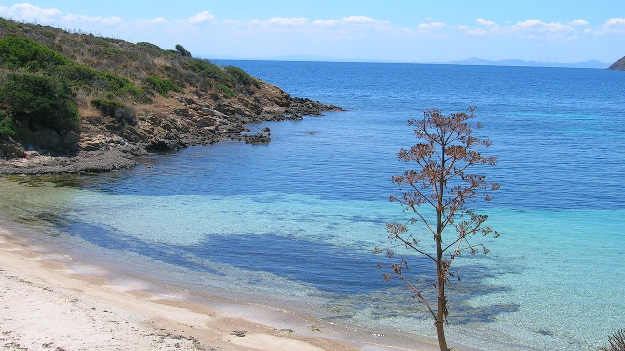 Photo of Others in Golfo di Marinella