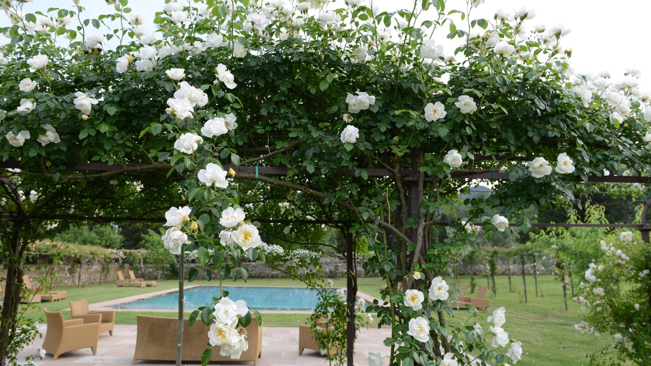 Photo of Outdoor in Vicopelago
