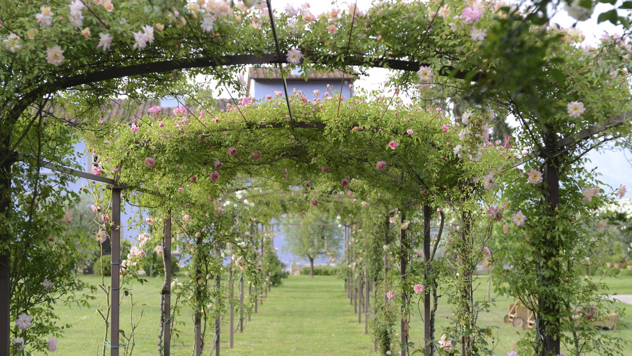 Photo of Outdoor in Vicopelago